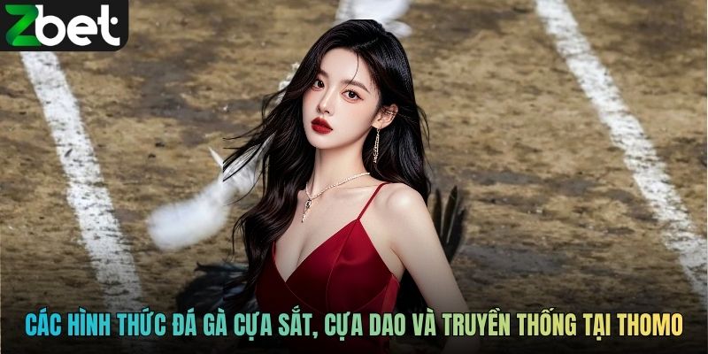 Các hình thức đá gà cựa sắt, cựa dao và truyền thống tại Thomo