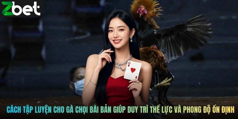 Cách tập luyện cho gà chọi bài bản giúp duy trì thể lực và phong độ ổn định