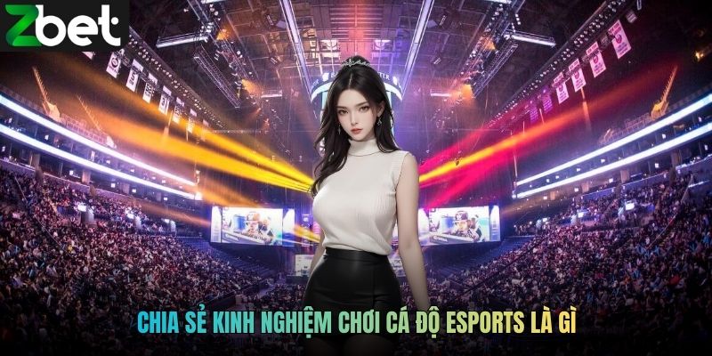 Chia sẻ kinh nghiệm chơi cá độ Esports là gì