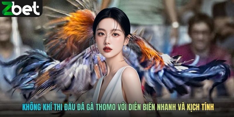 Không khí thi đấu đá gà Thomo với diễn biến nhanh và kịch tính